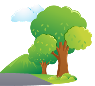 Reforestaciones