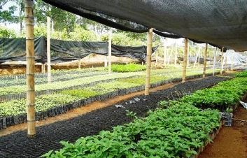 Servicios de Agroforestal y Cinegetica, s.l.